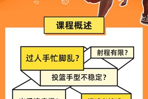 专业教练如何看待篮球训练对球员表现的影响